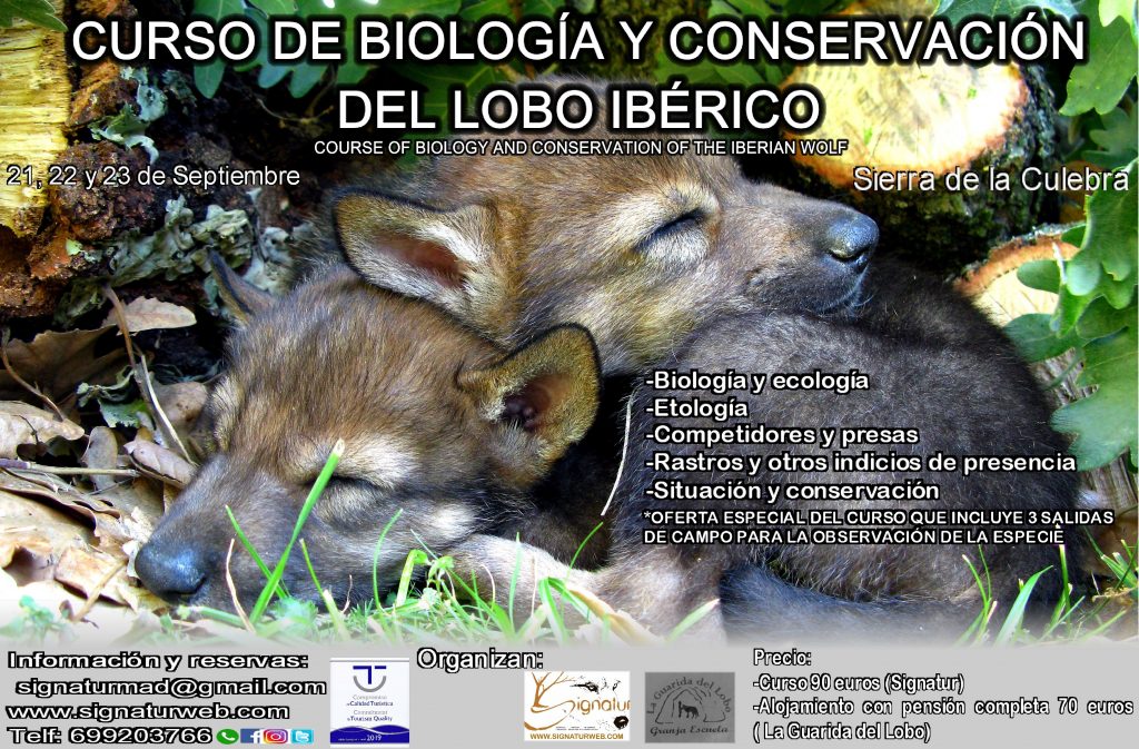Curso Conservación del Lobo Ibérico