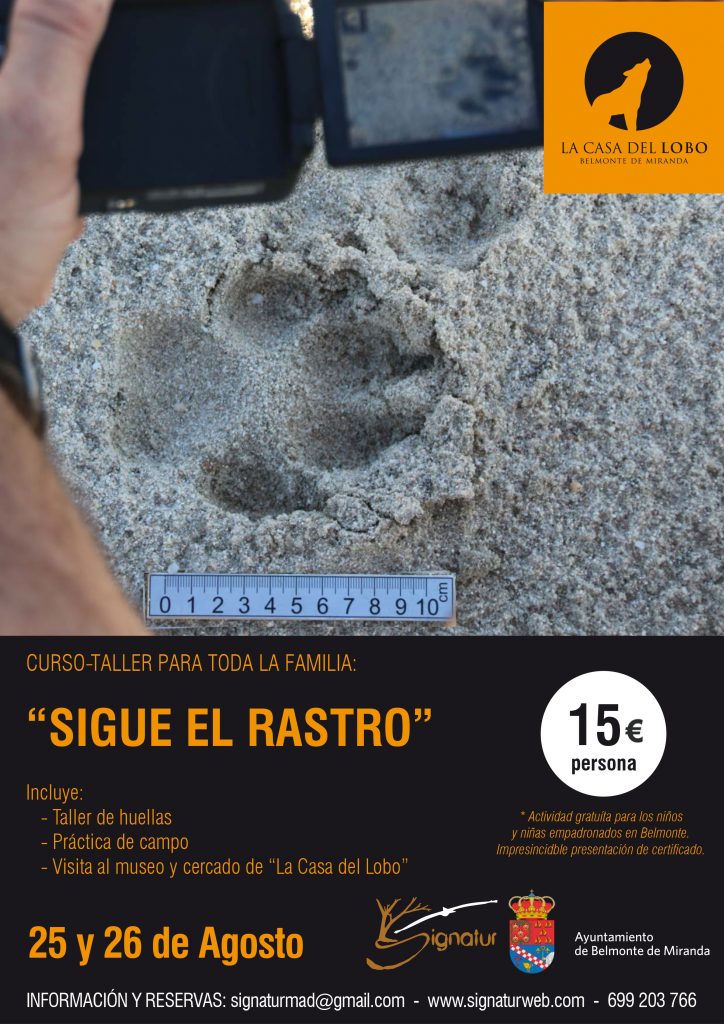 Taller Sigue el Rastro