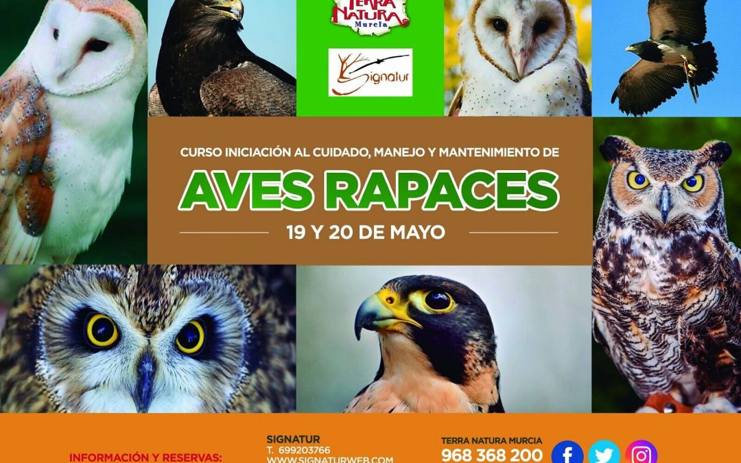 Curso de iniciación al cuidado, manejo y mantenimiento de AVES RAPACES